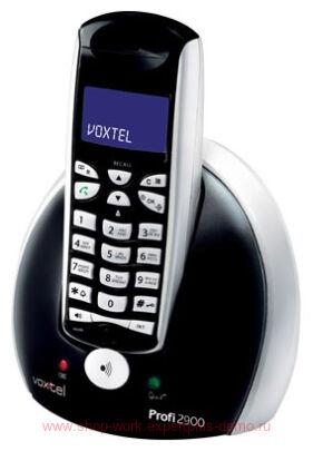 Voxtel Profi 2900
