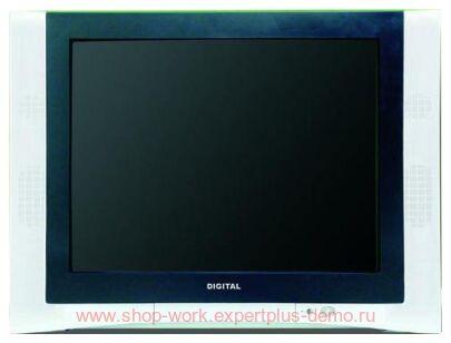 Digital DTV-F291